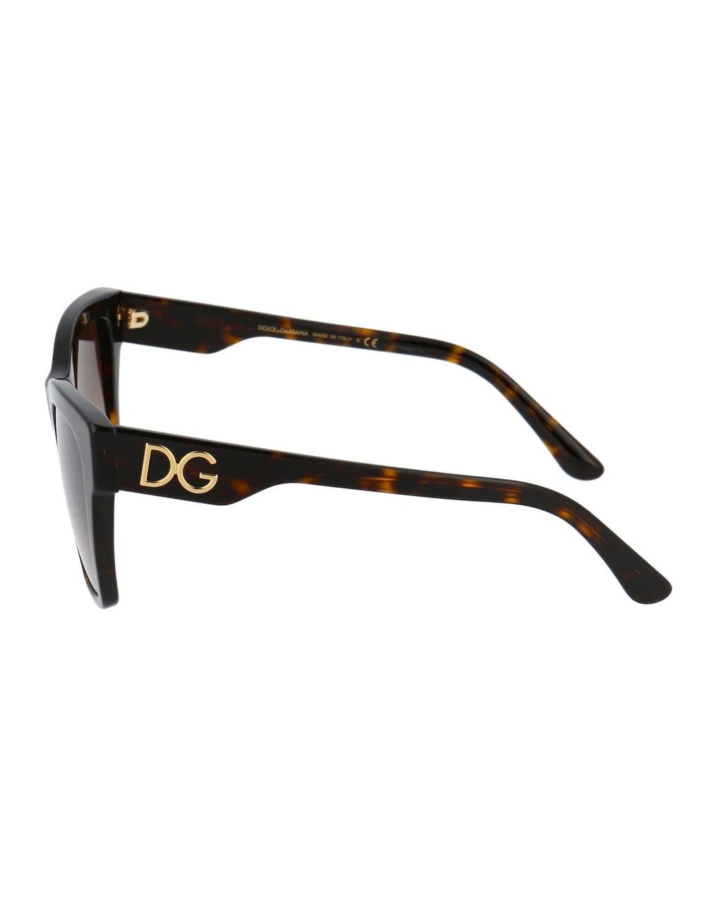 Dolce & Gabbana Brown Dolce & Gabbana Acetate Sunglasses