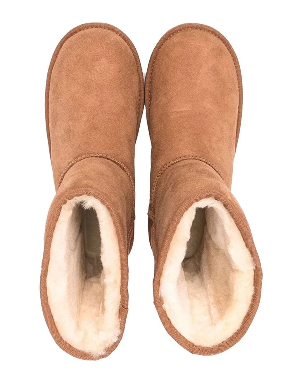 Ugg Brown Classic Ii Chestnut