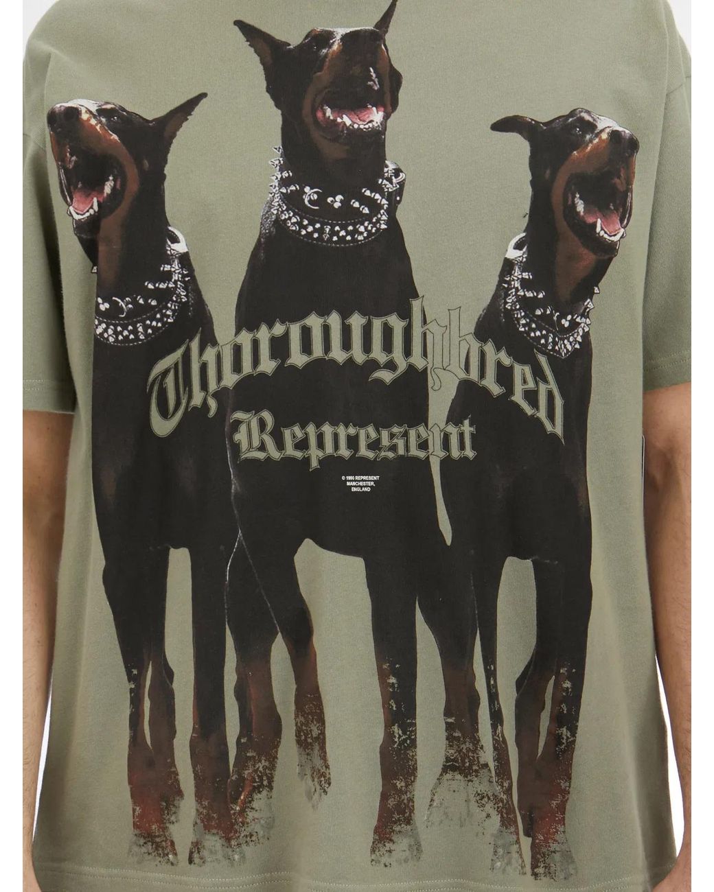 Represent Gray Thoroughbred T-Shirt for men