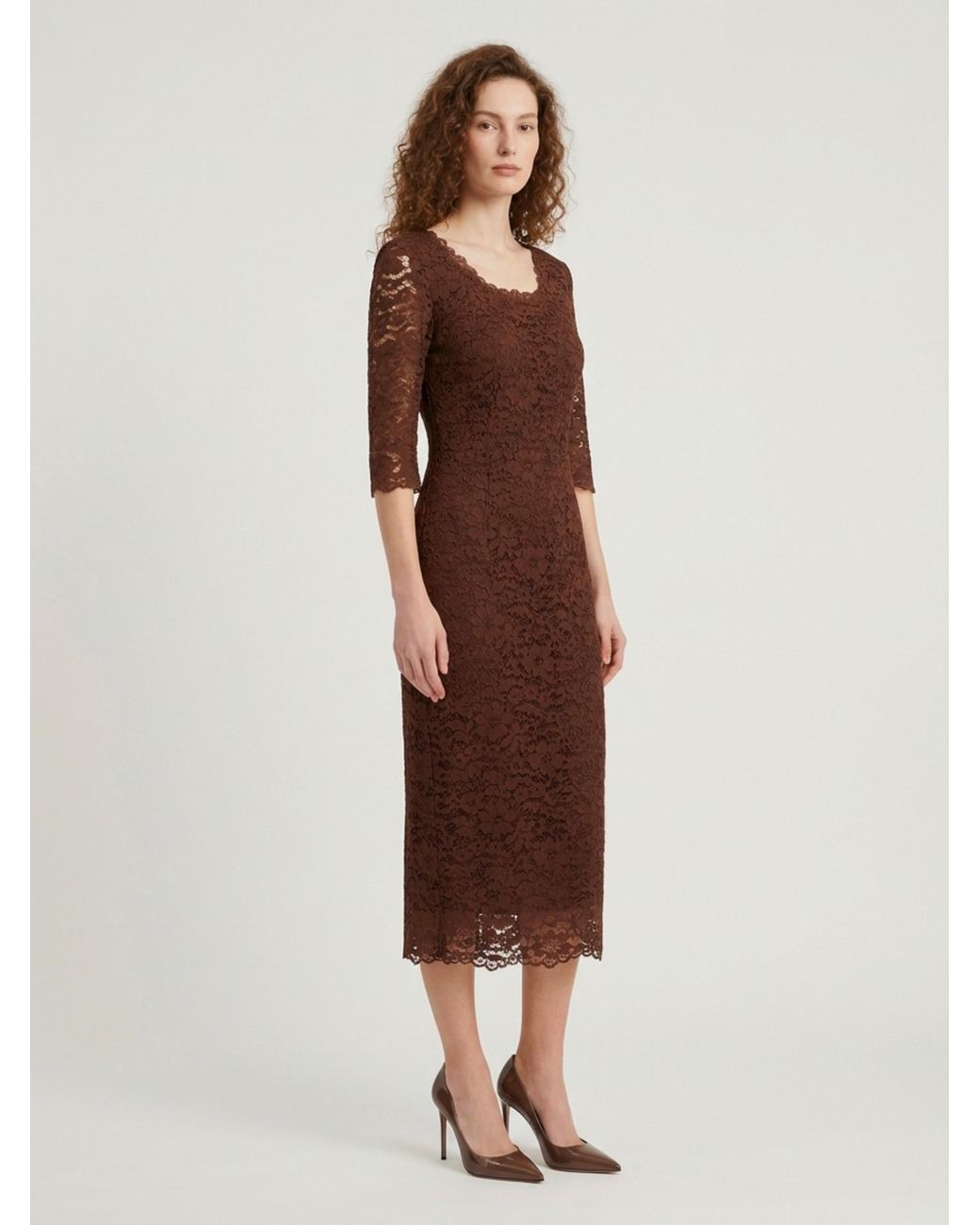 SUTTON NEW YORK Brown Lace Midi Sheath Dress