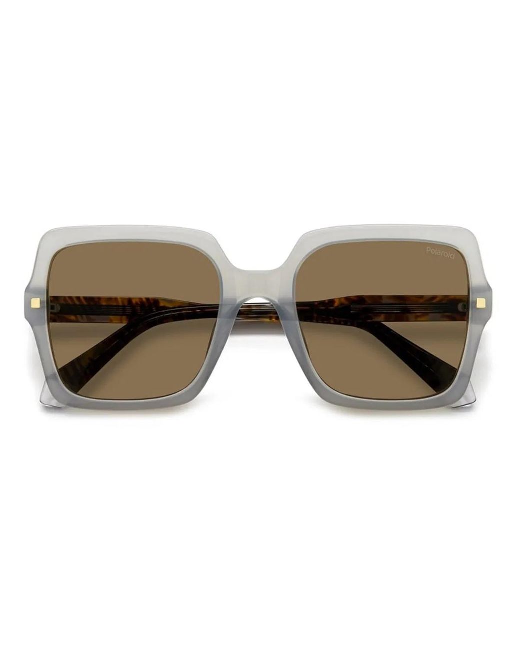 Polaroid Brown Pld 4165/S/X 1Ed(Sp)