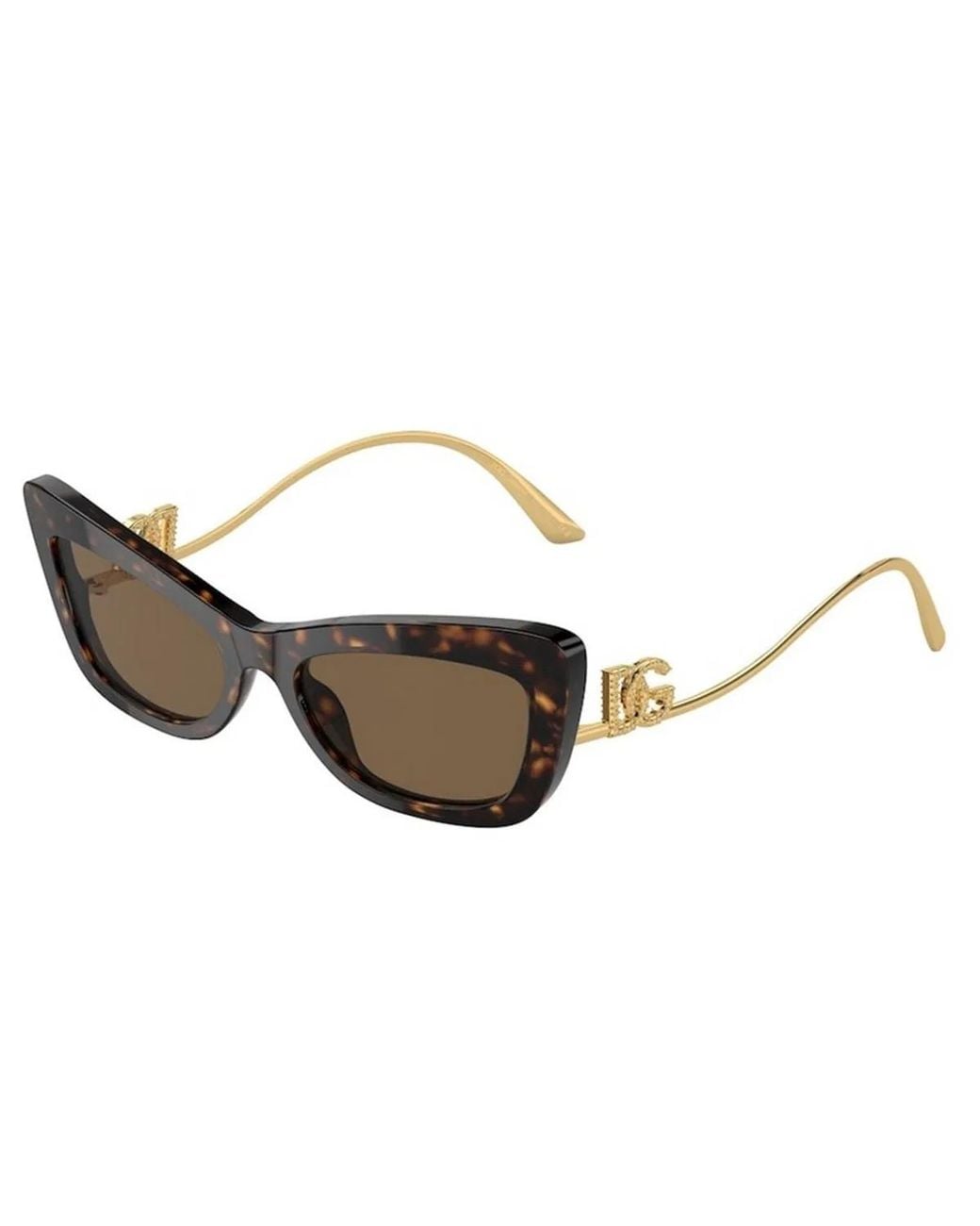 Dolce & Gabbana Brown Dolce & Gabbana Dolce & Gabbana Dg4467B 502/73
