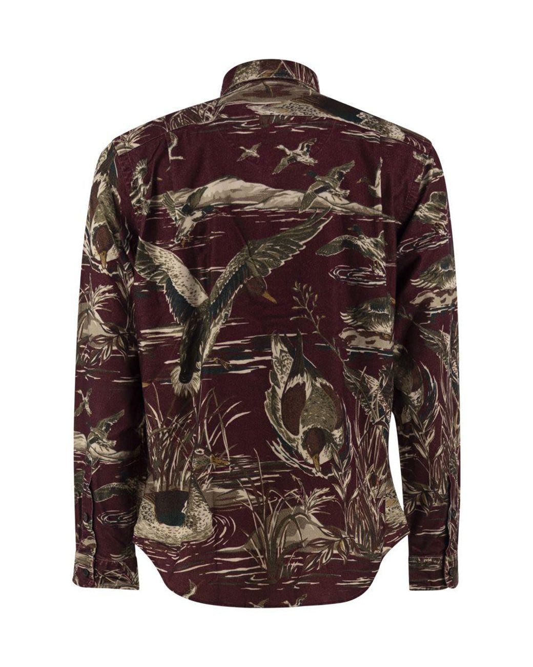 Polo Ralph Lauren Brown Cotton Shirt With Duck Print for men