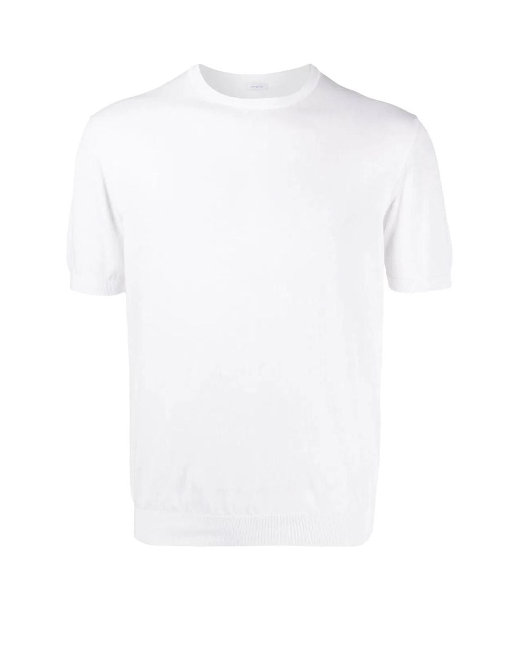 Malo White Cotton T-Shirt for men