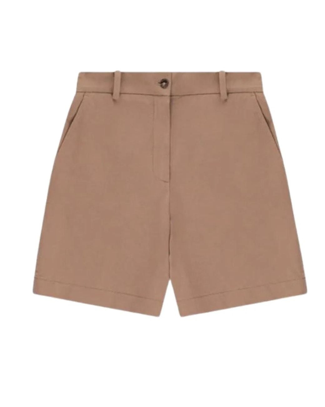 Circolo 1901 Brown Cotton Shorts