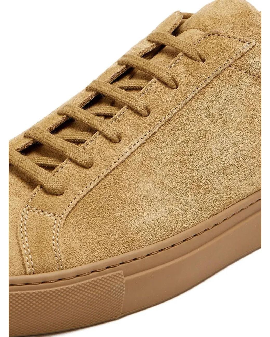 Common Projects Brown Sneaker Ante for men