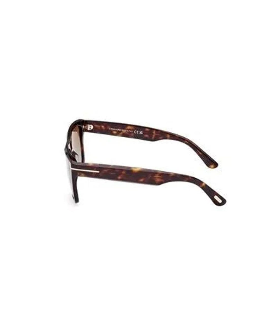 Tom Ford Brown Ft1077 Alberto Sunglasses for men