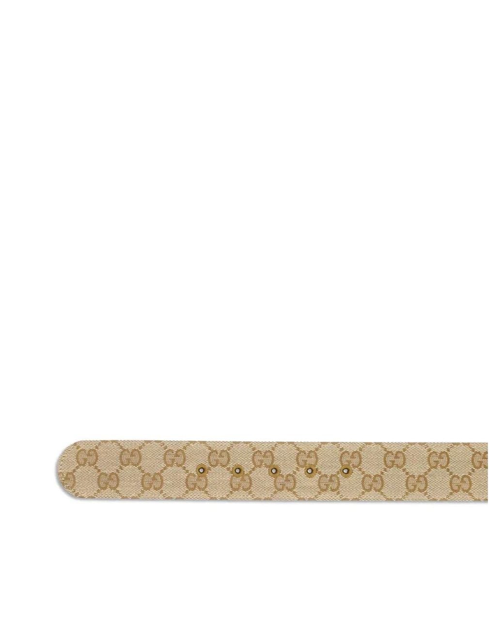 Gucci Brown Polyester Cotton Belt for men