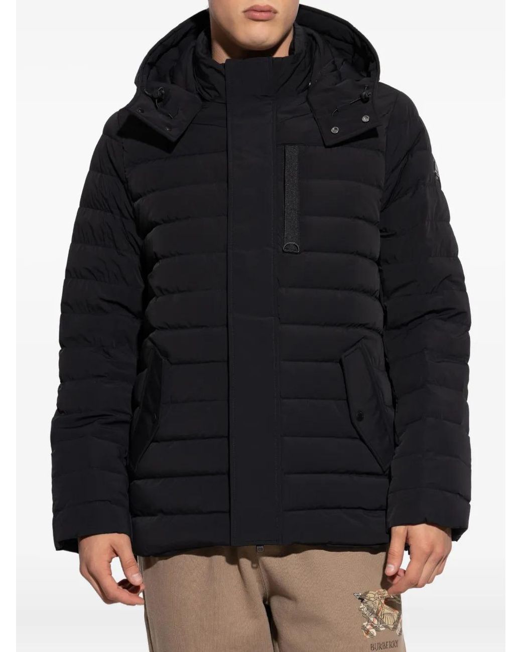 Moose Knuckles Blue Greystone Down Jacket for men