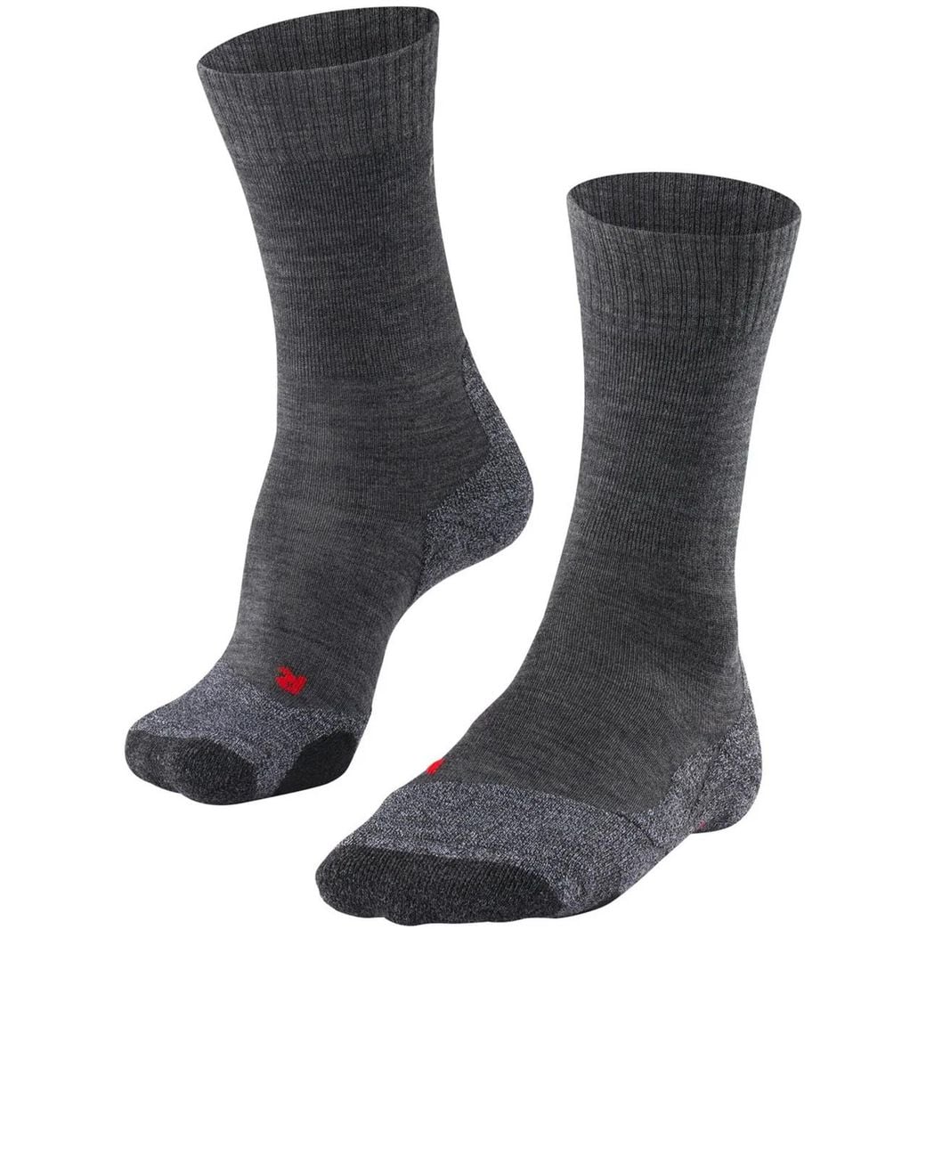Falke Black Tk2 Explore for men