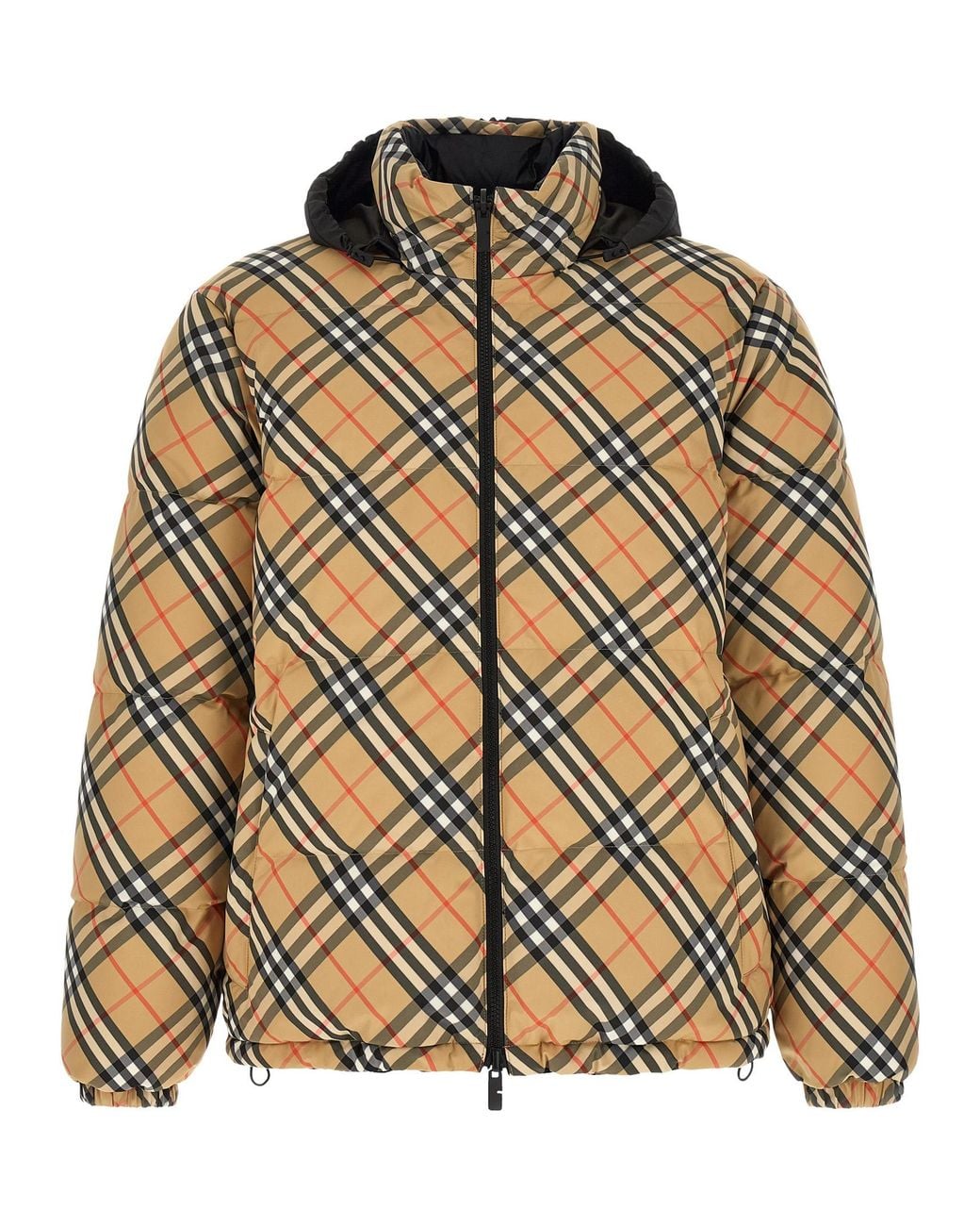 Burberry Brown 'Snowdon' Down Jacket for men