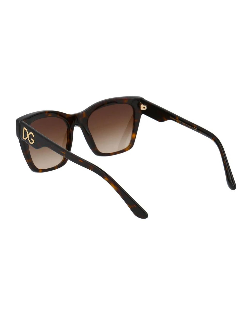 Dolce & Gabbana Brown Dolce & Gabbana Acetate Sunglasses