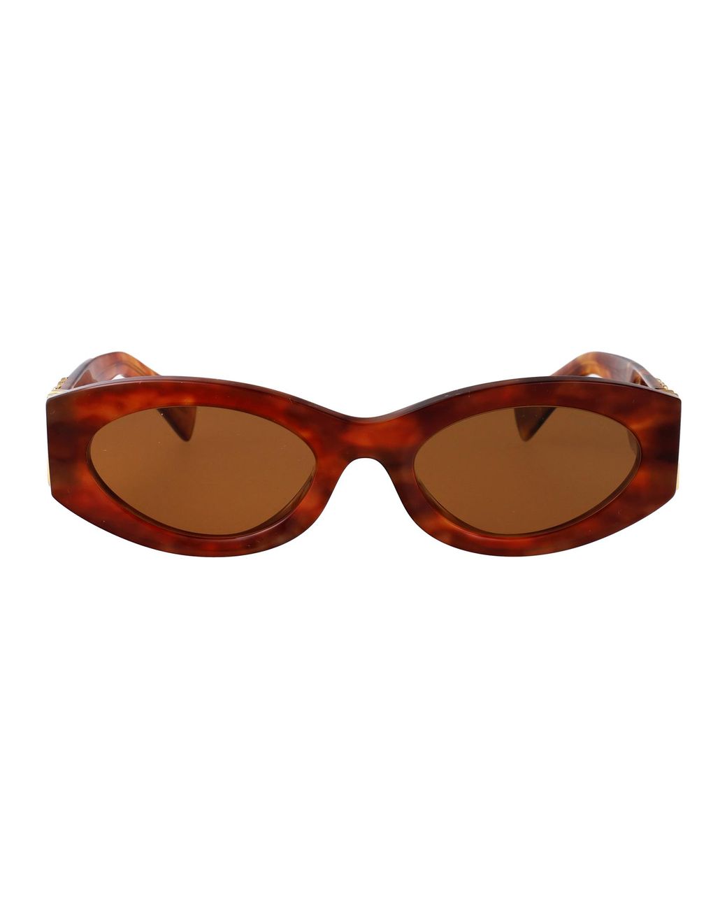 Miu Miu Brown Acetate Sunglasses