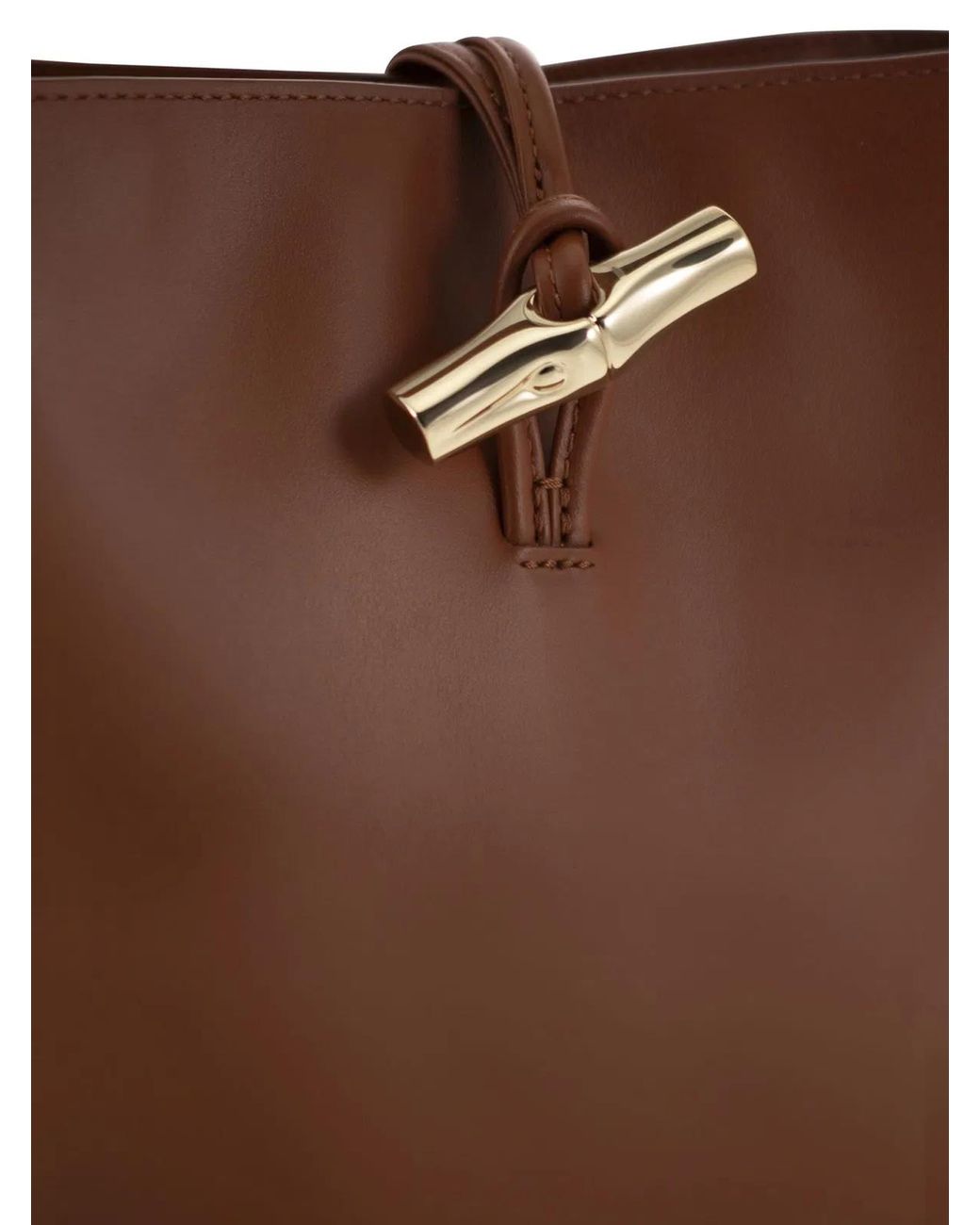 Longchamp Brown Le Roseau