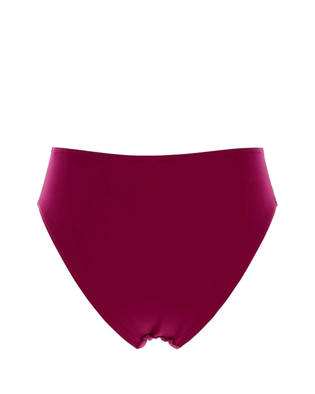 Eres Purple Stretch Nylon Prestance Bikini Bottom