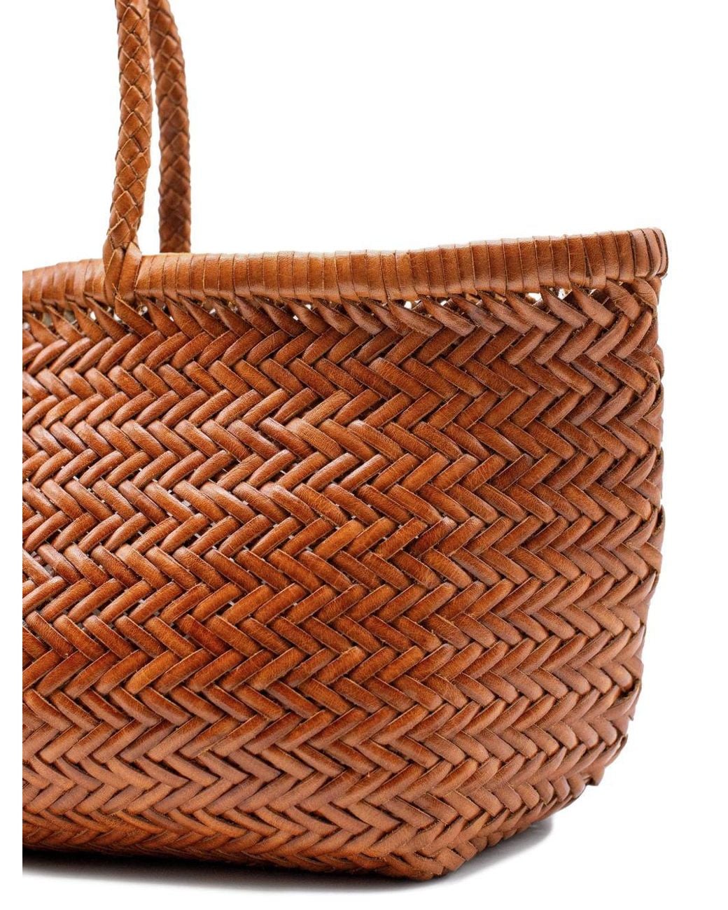 Dragon Diffusion Brown Bags
