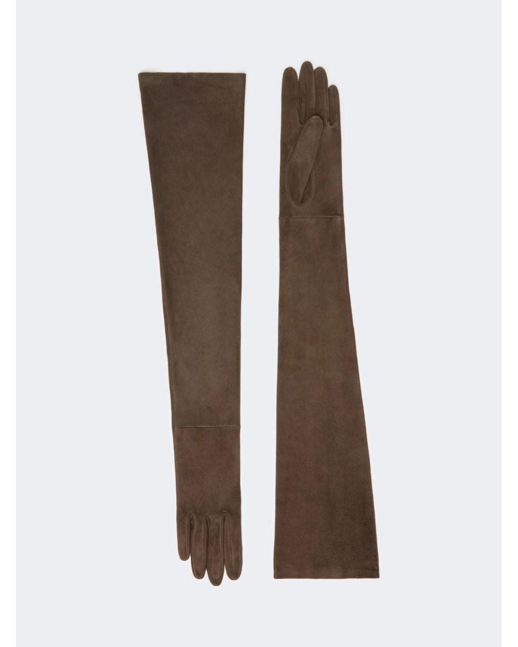 Max Mara Brown Masestremo Gloves