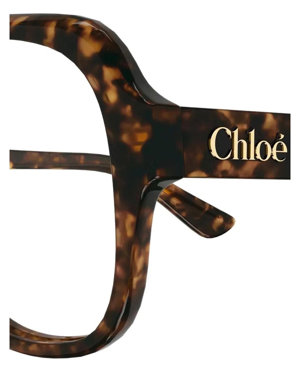 Chloé Black Eyeglasses Ch0339O 002 Havana Havana Transpa/15/140