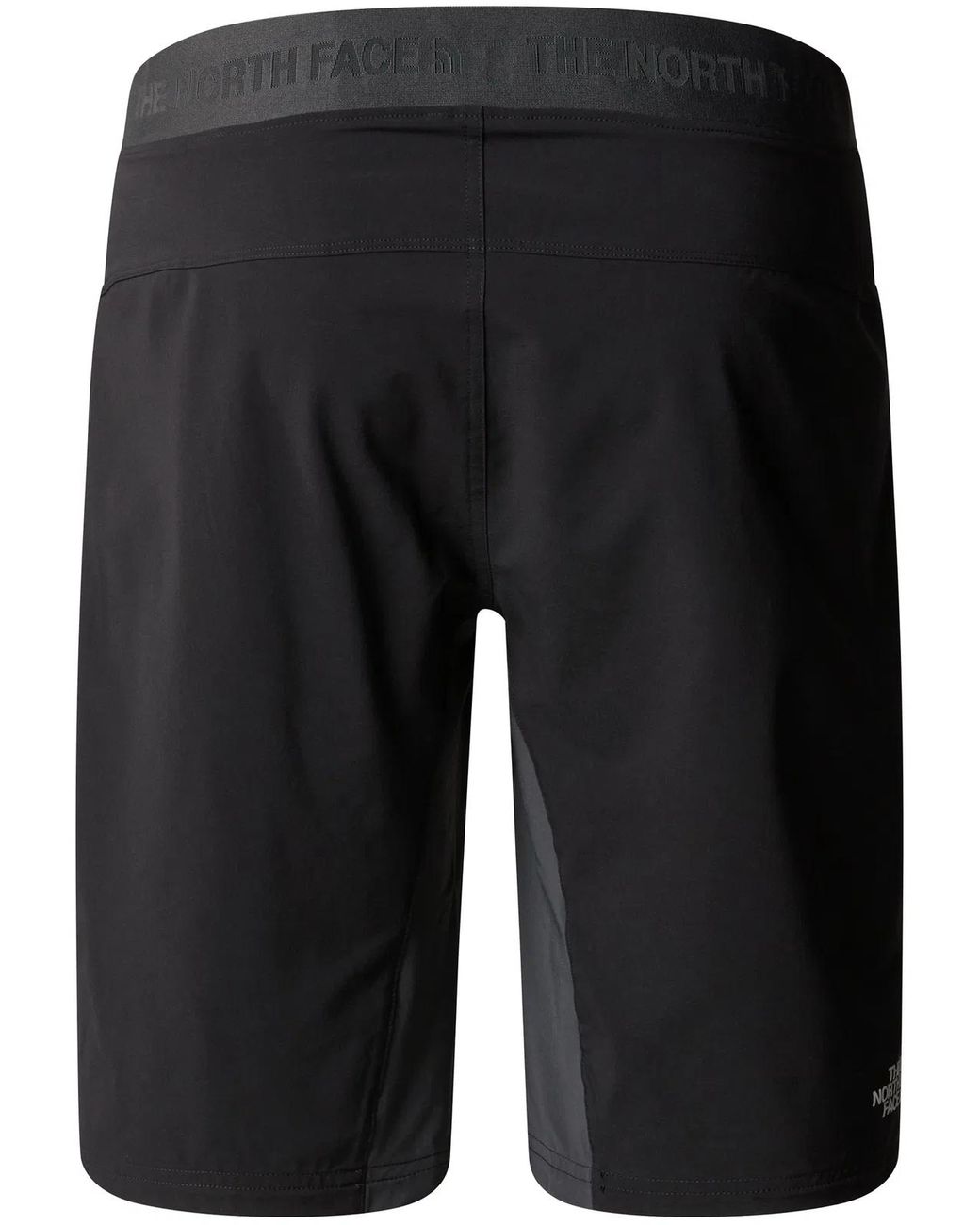 The North Face Gray Felik Slim Tapered Short for men