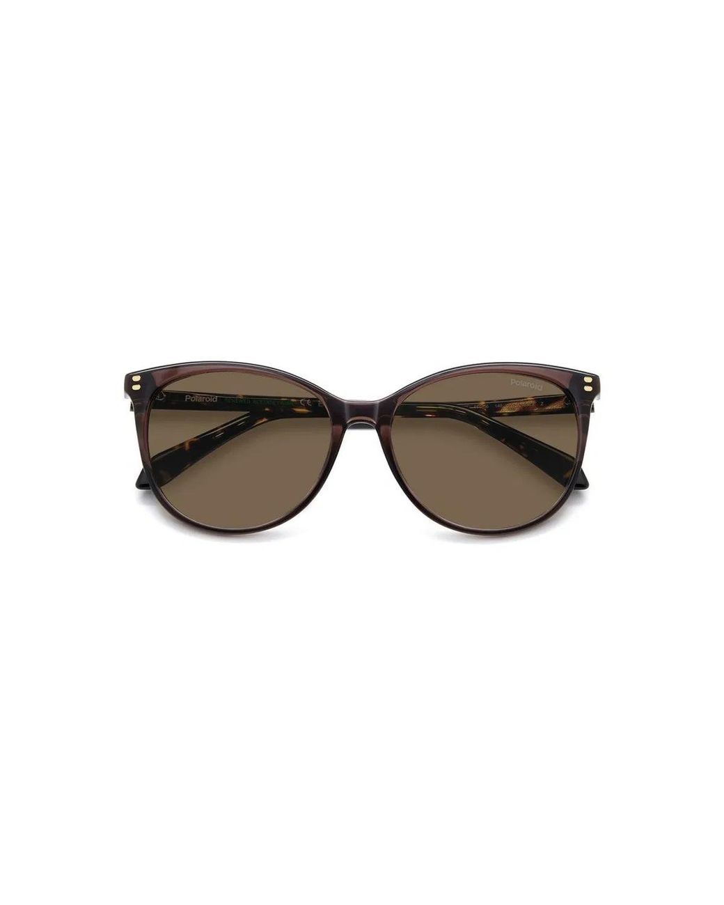 Polaroid Brown Pld 4200/S/X 09Q(Sp)