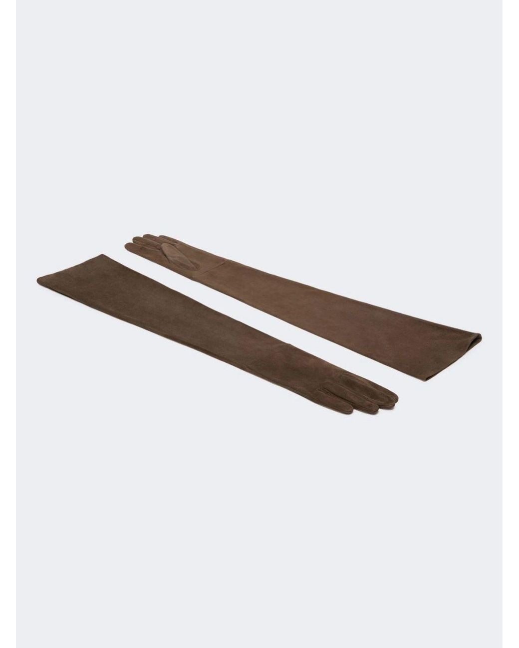 Max Mara Brown Masestremo Gloves