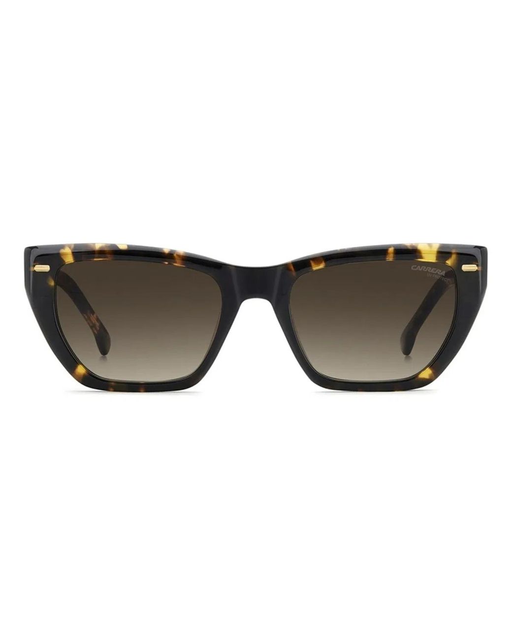 Carrera Black 3081/S 086(Ha)