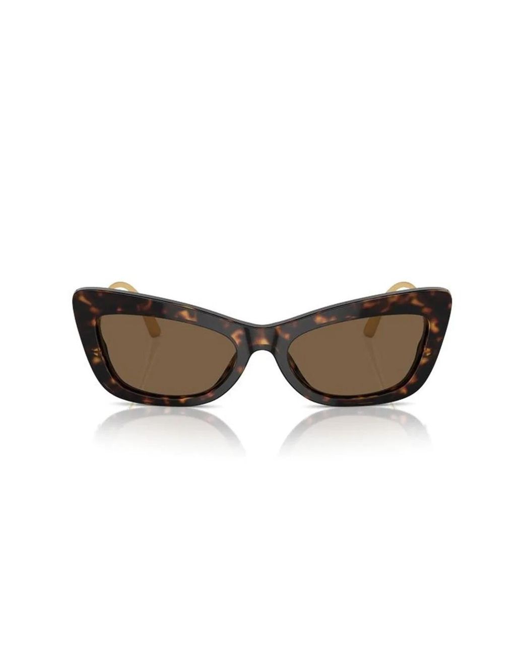 Dolce & Gabbana Brown Dolce & Gabbana Dolce & Gabbana Dg4467B 502/73
