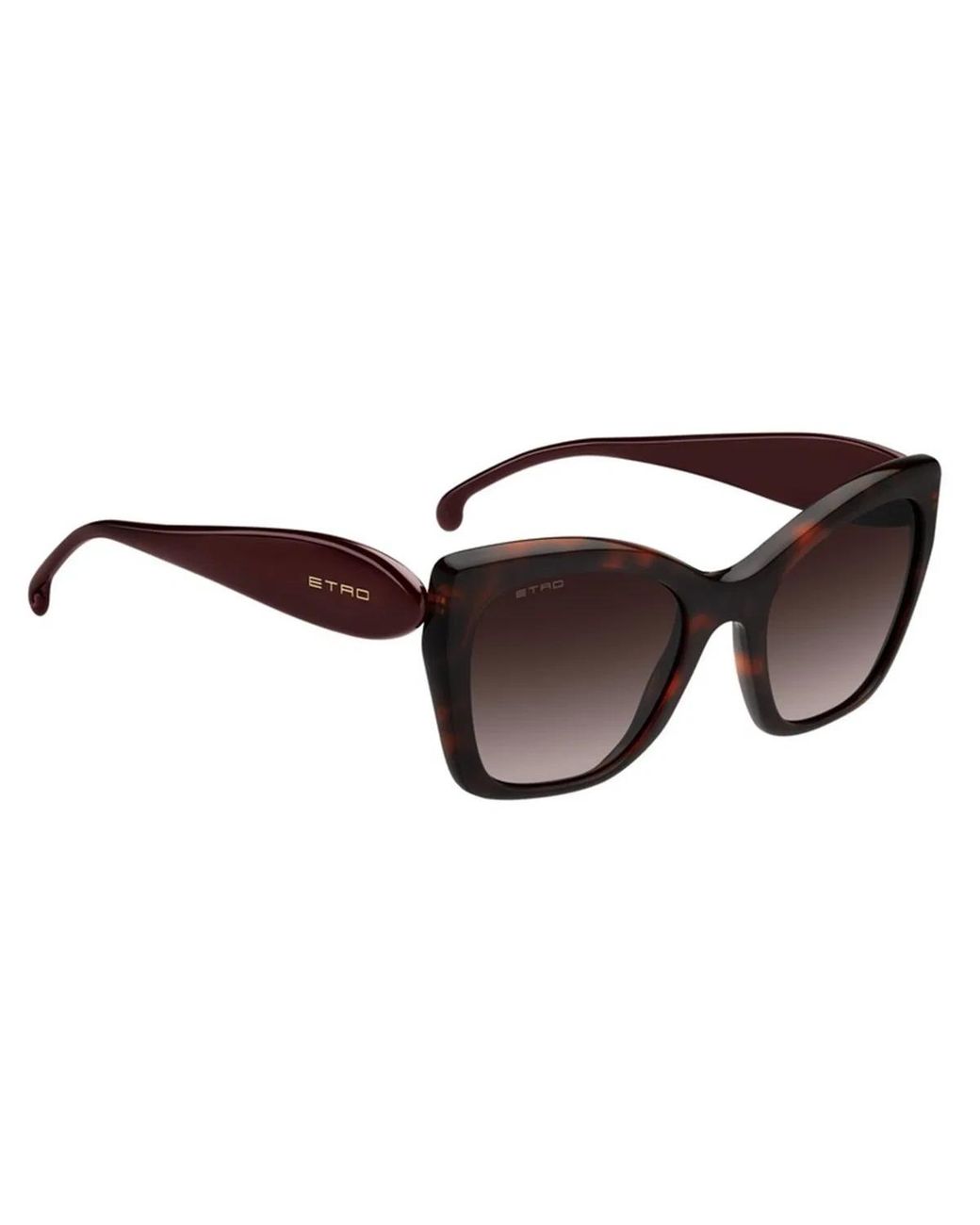 Etro Brown 0084/S 82U(Ha)