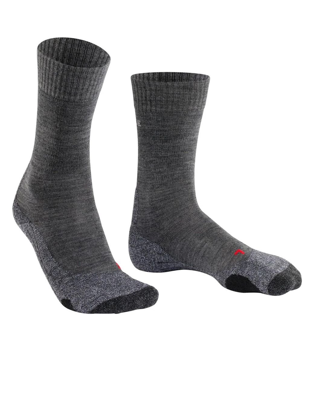 Falke Black Tk2 Explore for men