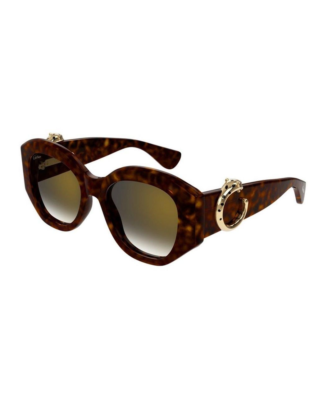 Cartier Brown Ct0502S 002