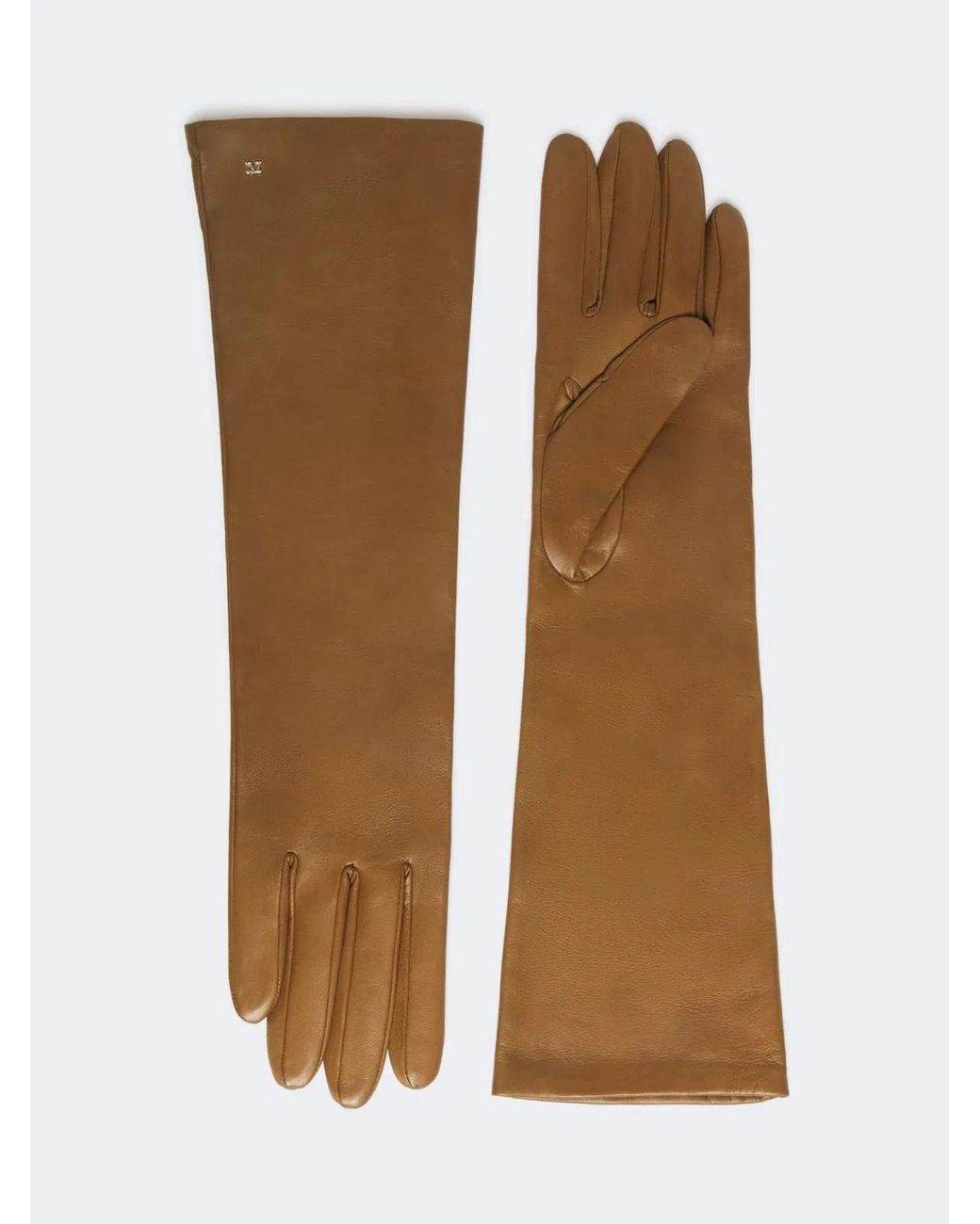 Max Mara Brown Long Gloves Afidee