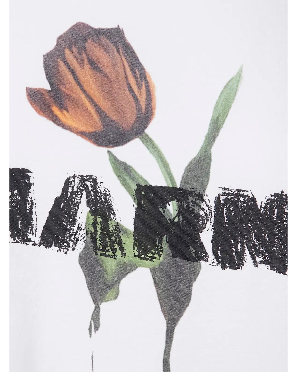 Marni White T-Shirt By