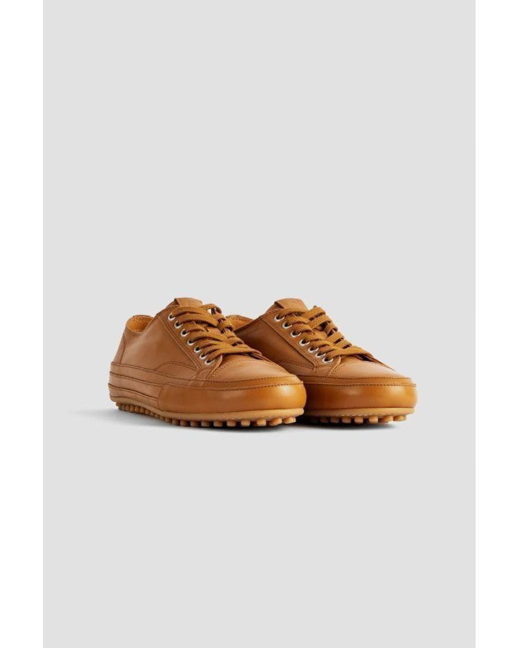 Tod's Brown Baskets Sneaker
