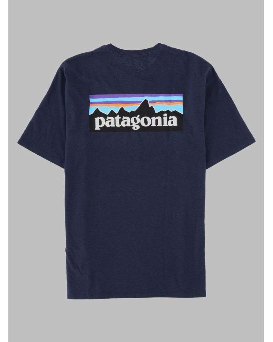 Patagonia Blue Everyday Performance T-Shirt for men