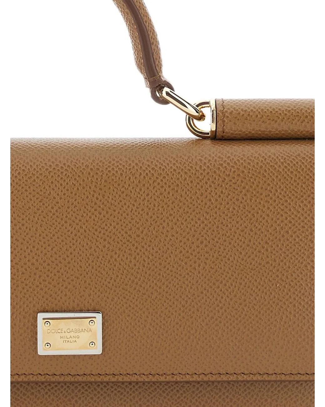 Dolce & Gabbana Brown Dolce & Gabbana Mini Bag
