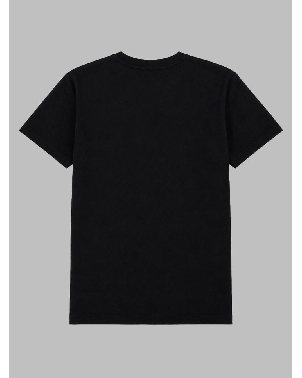 Co. Black Co 