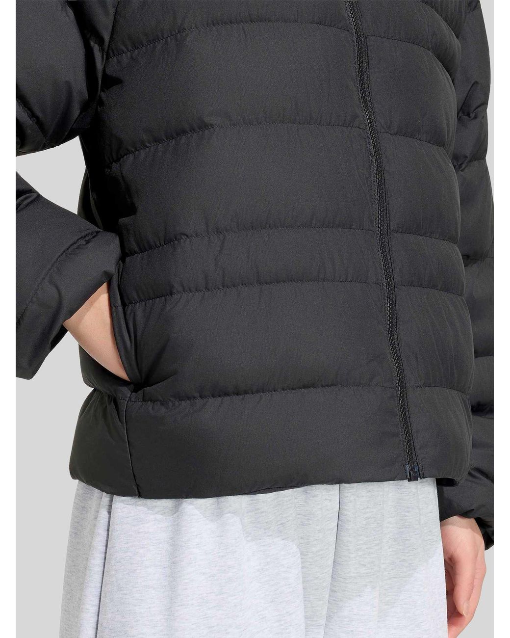 Adidas Gewatteerde Jassen in het Black