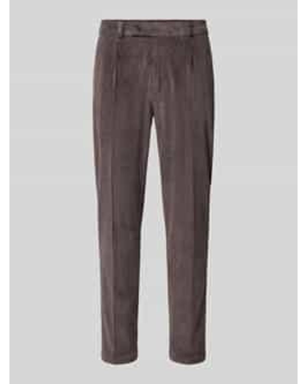 Zuitable Pantalons in het Brown voor heren
