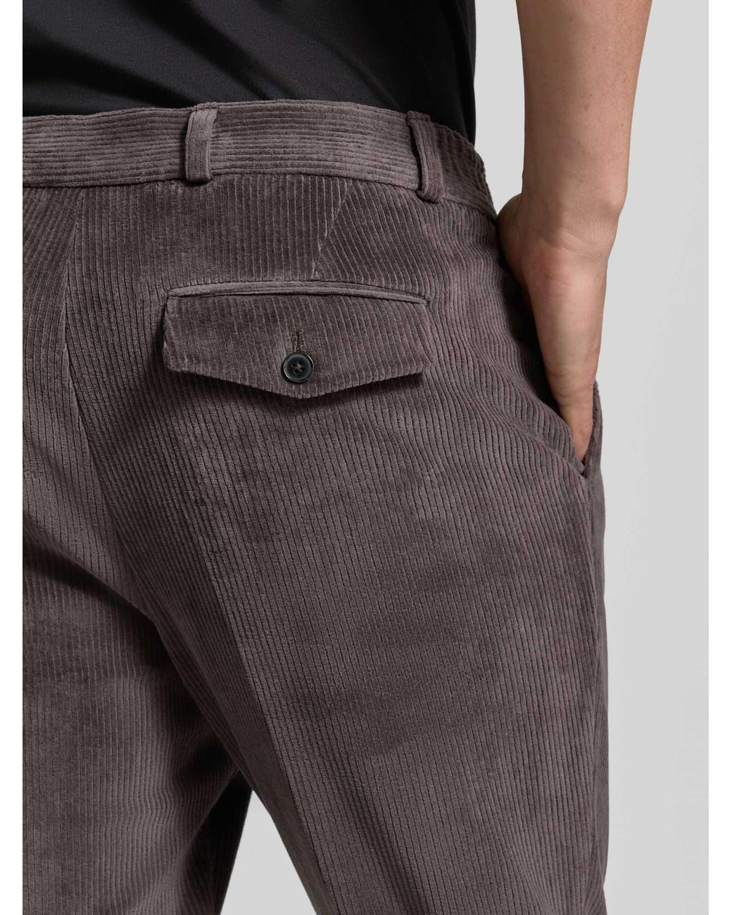 Zuitable Pantalons in het Brown voor heren