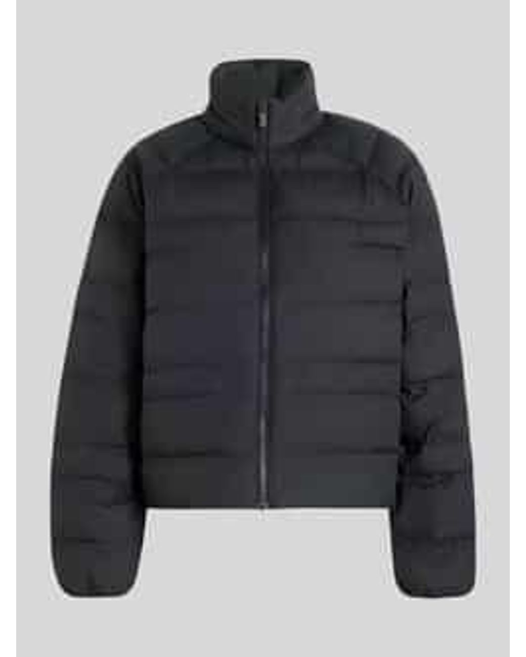Adidas Gewatteerde Jassen in het Black