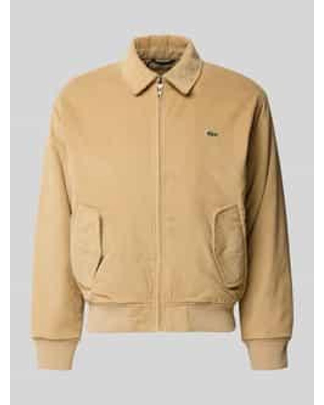 Lacoste Bomberjacks & Blousons in het Natural voor heren