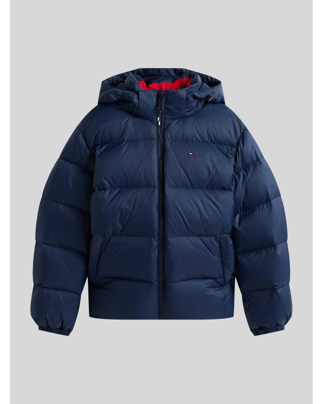 Tommy Hilfiger Donsjassen in het Blue voor heren