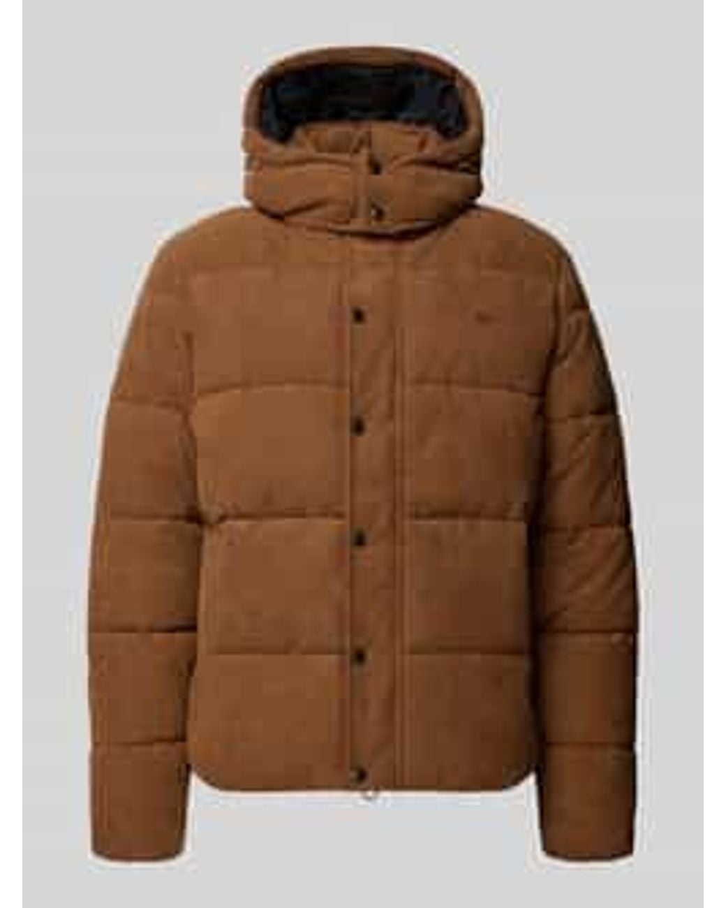 Superdry Puffer Jassen in het Brown voor heren