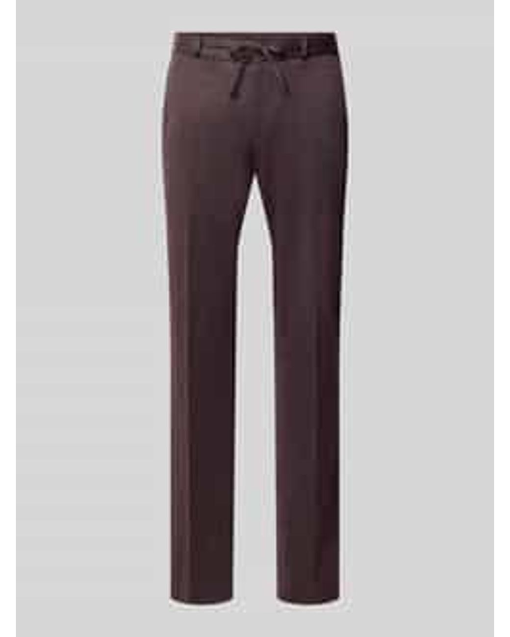 Zuitable Pantalons in het Purple voor heren