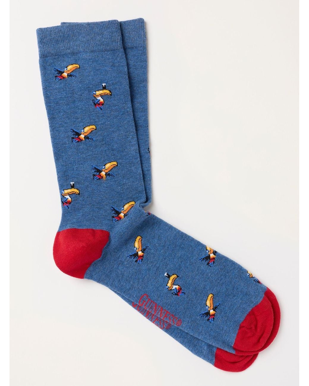 FatFace Blue Fatface Guinness Toucan Socks for men