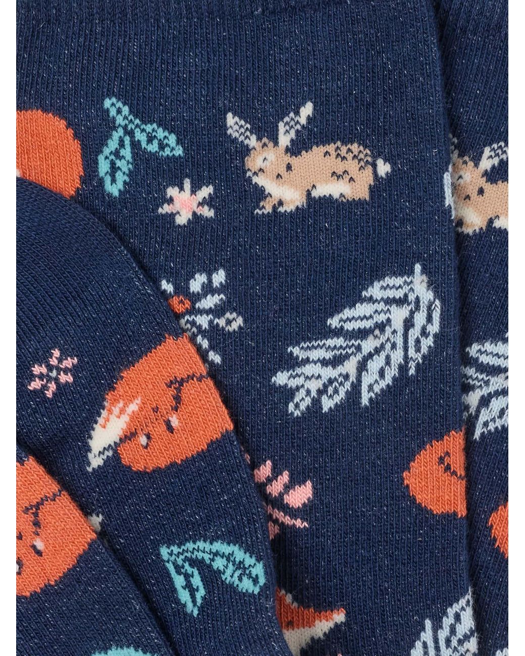 FatFace Blue Fox Socks