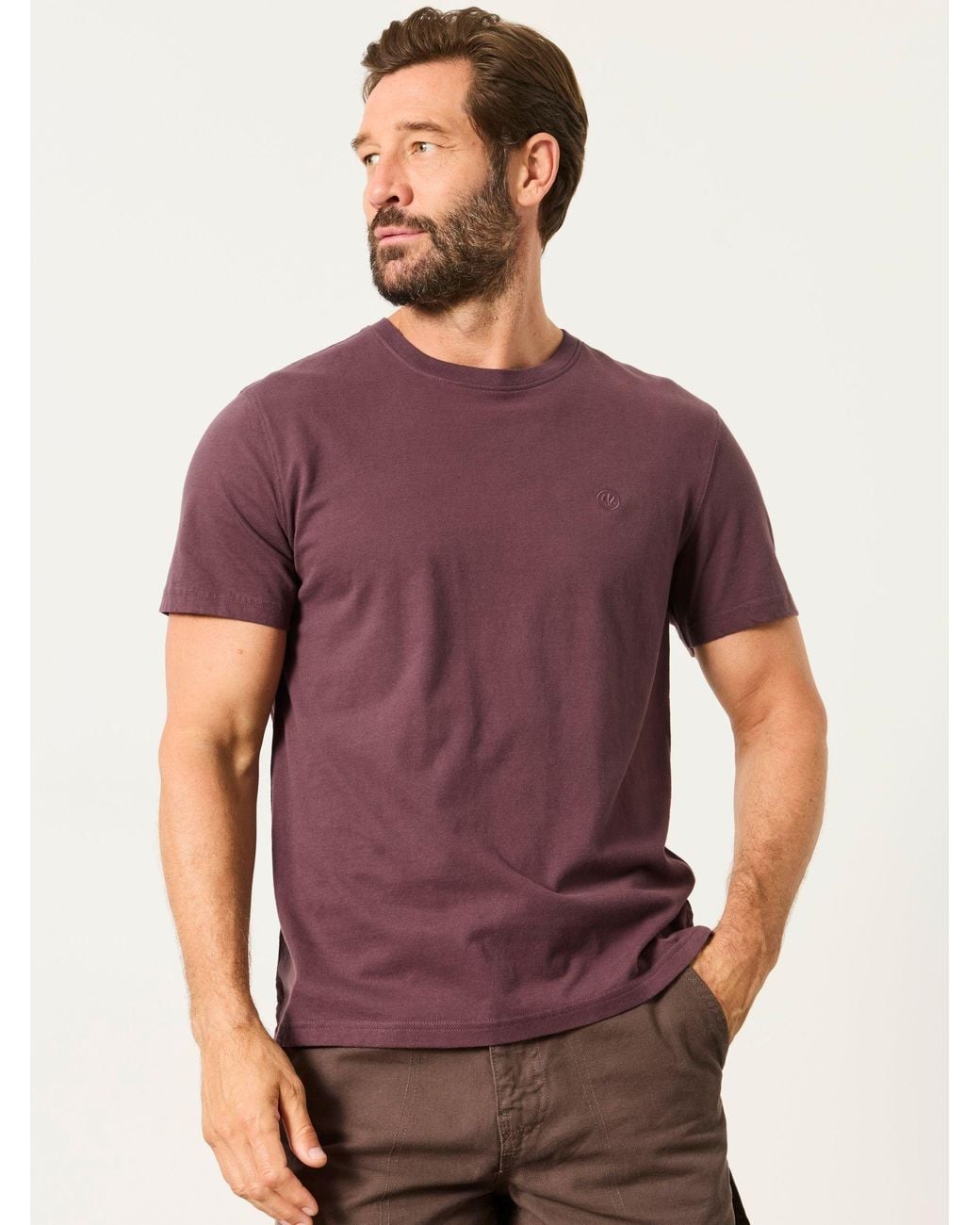 FatFace Purple Lulworth Short Sleevet-Shirt for men