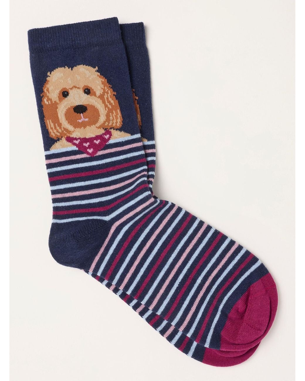 FatFace Blue Fatface Cockapoo Socks
