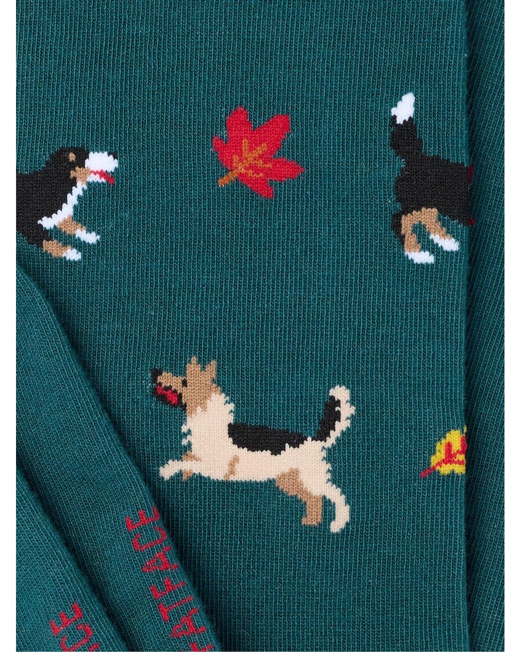 FatFace Green Fatface Dog Socks for men
