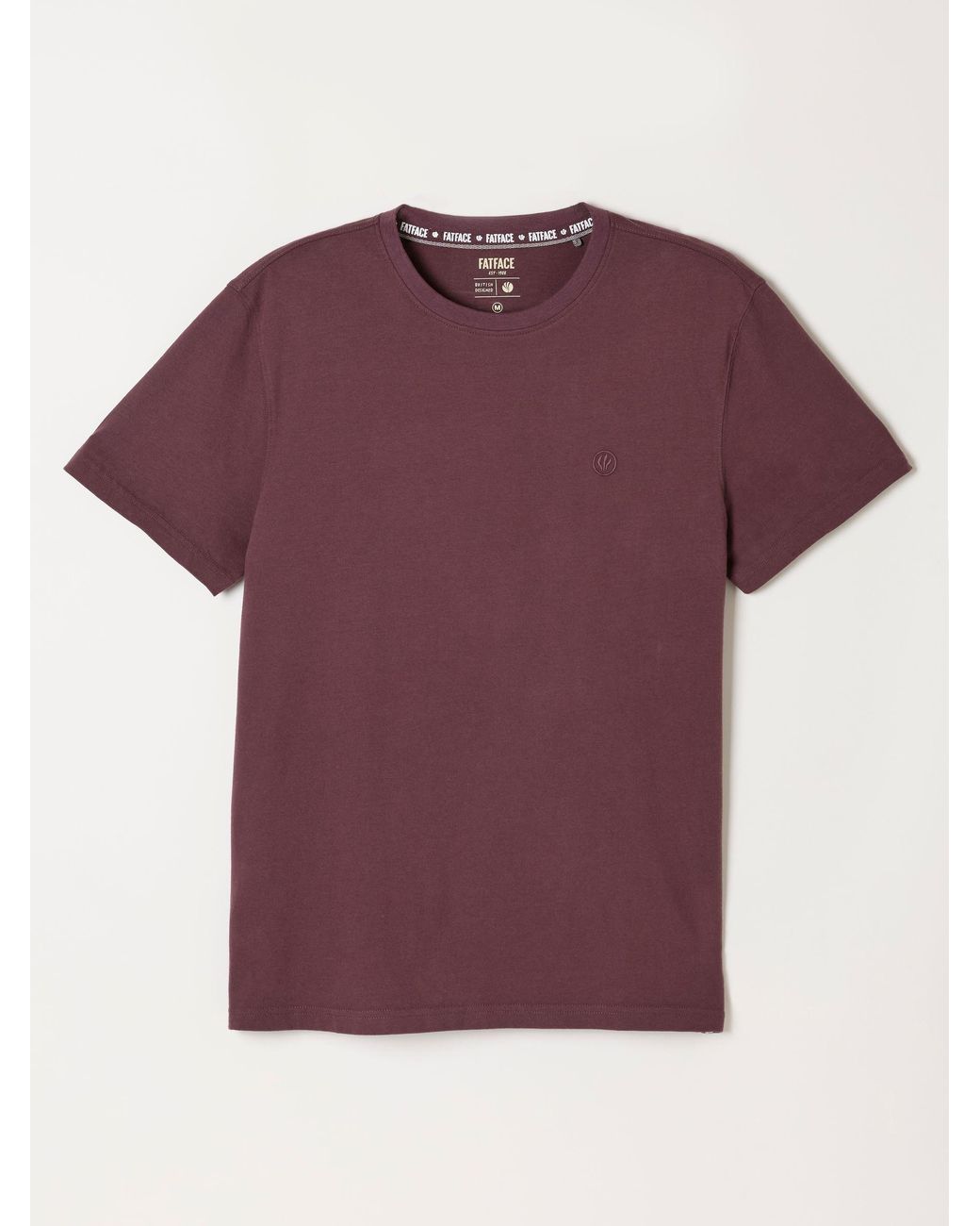 FatFace Purple Lulworth Short Sleevet-Shirt for men